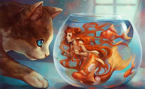 Cat And Mermaid, mermaid, fantasy, cat, fish, fish bowl HD wallpaper ...