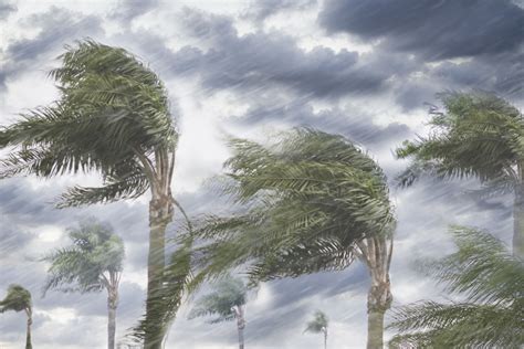 Hurricanes and Climate Change: Are Storms Getting Stronger?