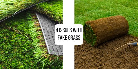 4 Issues with Fake Grass | Ferndale | Bellingham | Seattle | Carl's Mower & Saw