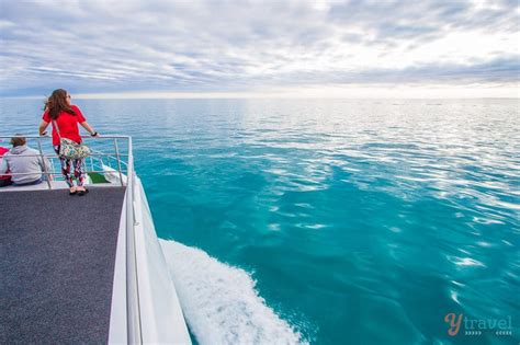 Guide To Whale Watching In Hervey Bay, Australia