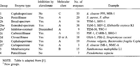 Beta-lactamase: functional classification - Online Biology Notes