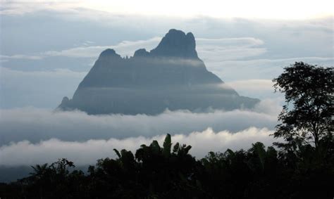 Parque Nacional do Pico da Neblina | Amazonas