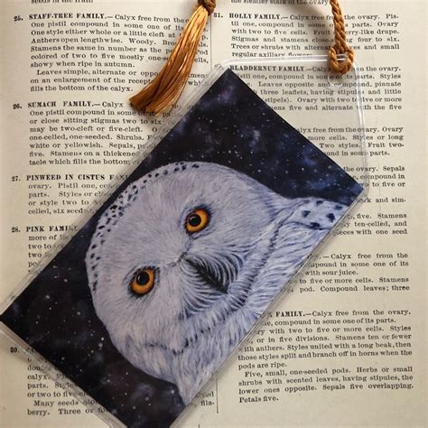 Snowy Owl Bookmark Owl Lovers Journal Bookmark Gift for - Etsy