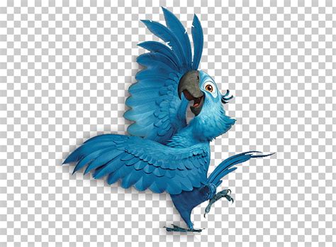 blue macaw clipart 10 free Cliparts | Download images on Clipground 2024