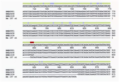 Fig. S1. Alignment of nucleotide sequences from the 5' ends of... | Download Scientific Diagram