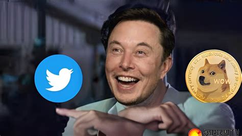 Elon Musk sparks controversy after changing twitter’s blue bird logo ...