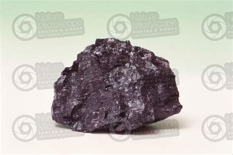 Anthracite - Anthracite - Metamorphic rock - Rocks and Petrology - Photos