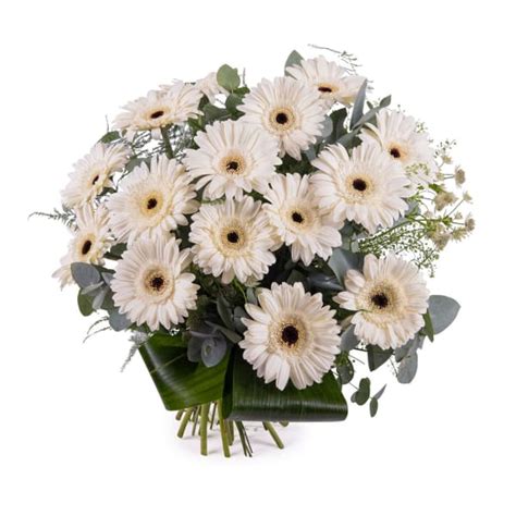 Buy/Send Bouquet of White Gerbera Daisies Online | IGP | ID1088891