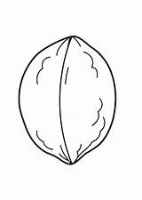 Nut Coloring Page sketch template