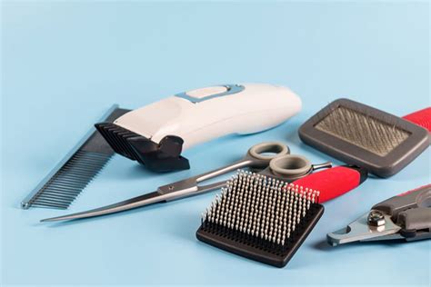 How To Choose The Best Grooming Tools For Pets