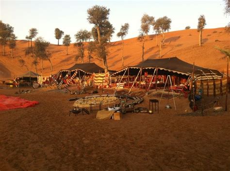 Desert Camping Made Easy at Bedouin Oasis in 2023 | Camping inspiration, Ras al khaimah, Desert life