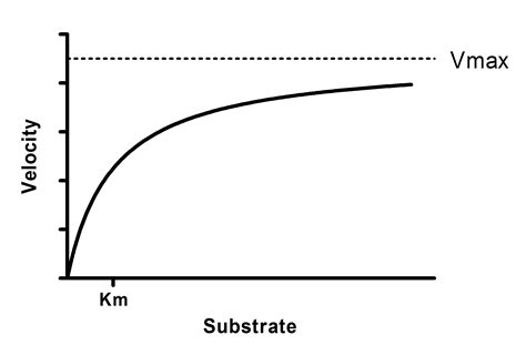 GraphPad Prism 7 Curve Fitting Guide - Equation: Michaelis-Menten model