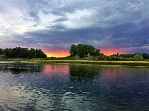 Caddis Chronicles: Montana - The Bighorn River