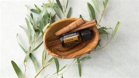 Cassia Oil Spotlight | doTERRA Essential Oils | dōTERRA Essential Oils