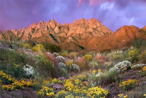 New Mexico’s Diverse Landscapes: Discovering Deserts, Mountains ...