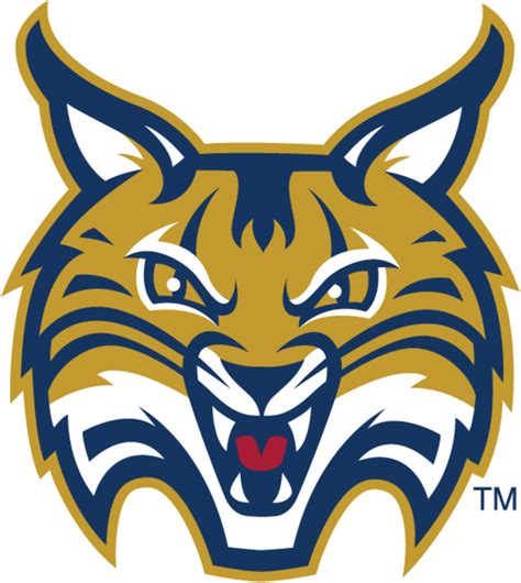 Quinnipiac University Bobcats - Hamden, CT - ScoreStream