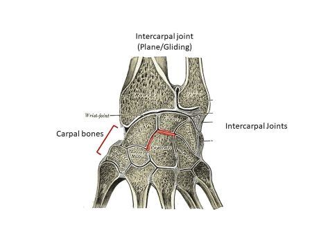 Gliding Joint Diagram