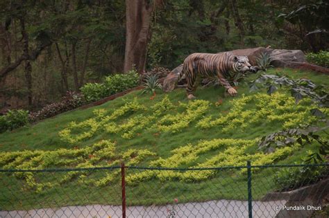 Sanjay Gandhi National Park, Mumbai – An Abode for the Richest Fauna of the City | Manthan Diary