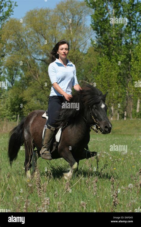 woman rides Shetland Pony Stock Photo - Alamy