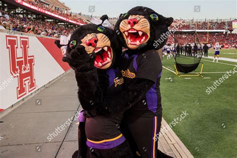 Prairie View Panthers Mascots Pose Photo Editorial Stock Photo - Stock ...