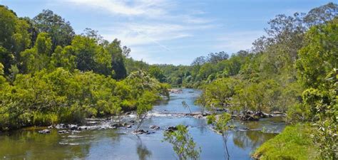 Ensure efficient use of water, natural resources | New Straits Times | Malaysia General Business ...