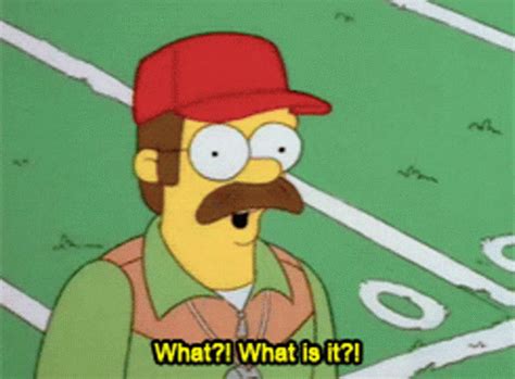 Ned Flanders What GIF - Ned Flanders What What Is It - Discover & Share GIFs