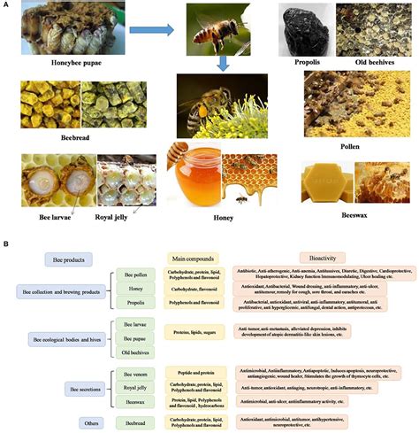 Antiviral, Antibacterial, Bee Bread, Fluidized Bed, Gas Chromatography, Industrial Scales, Bee ...