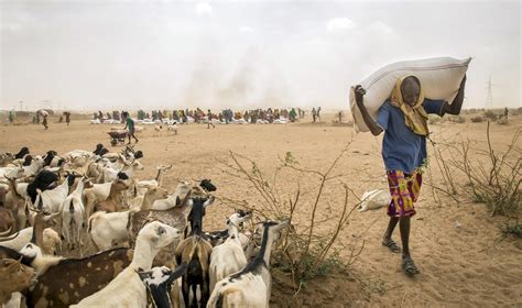 Enduring Somalia drought puts hundreds of thousands at risk, U.N. warns ...