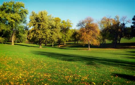 Images Gratuites : arbre, la nature, herbe, structure, plante, champ ...