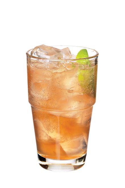 Lemon Lime and Bitters (Non-alcoholic) Cocktail Recipe