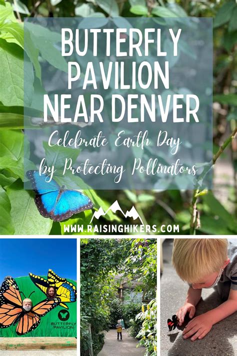 Butterfly Pavilion - Ideas for Celebrating Earth Month