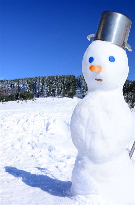 Winter Fun Scene with Snowman Stock Image - Image of cheerful, children ...