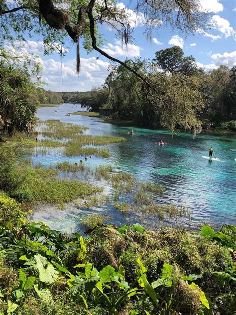 Rainbow Springs State Park | Rainbow springs state park, State parks, Blue springs state park