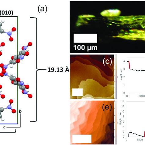 Single crystals of picric acid. (a) Crystallographic unit cell of PA... | Download Scientific ...