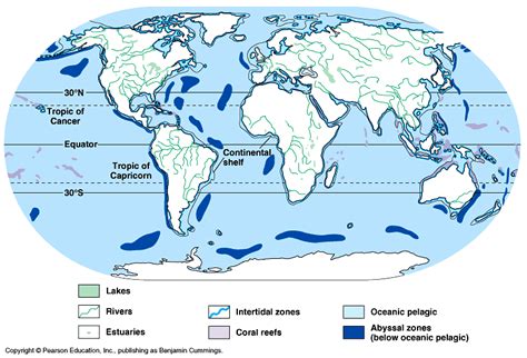 The characteristics of ocean biomes - Ocean Biomes