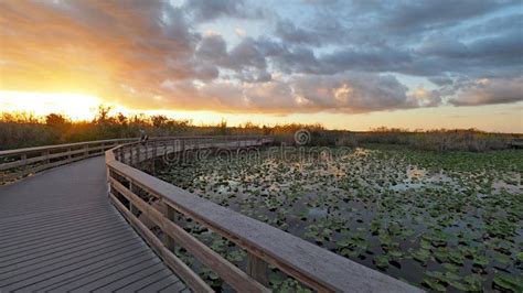 Anhinga Trail and Boardwalk in Everglades National Park. Editorial ...