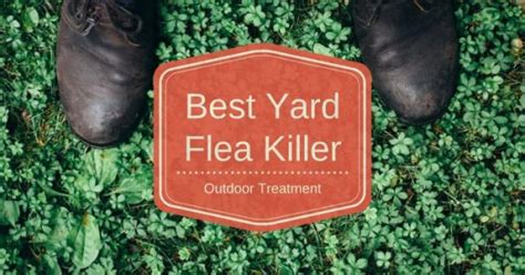 Best Flea Killer Treatment (For Yard and Outdoor) - Pest Survival Guide