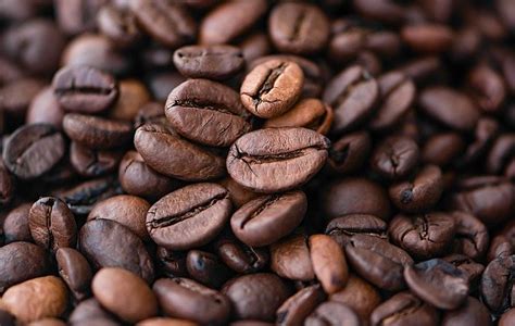 5 Steps To Stay Productive Ft. Ground Coffee Beans - Lifestyle Magazine