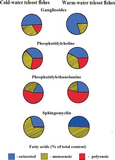 Brain Gangliosides and Their Function as Natural Adaptogenes | IntechOpen