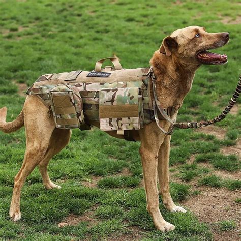 Durable Soft Sports Nylon Dog Harness 1000D Molle Vest Velcro For Patches