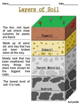 Soil Layers Worksheet For Kids