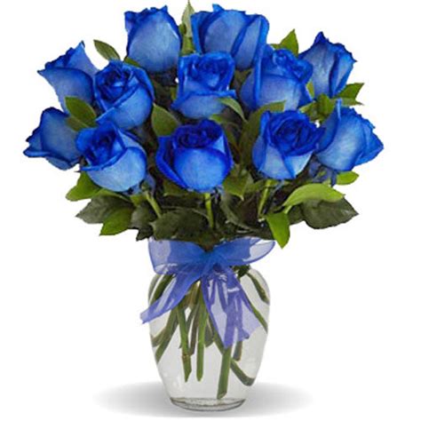 Blue Rose Arrangement (1 dozen blue roses in vase) – GTA Flower Delivery