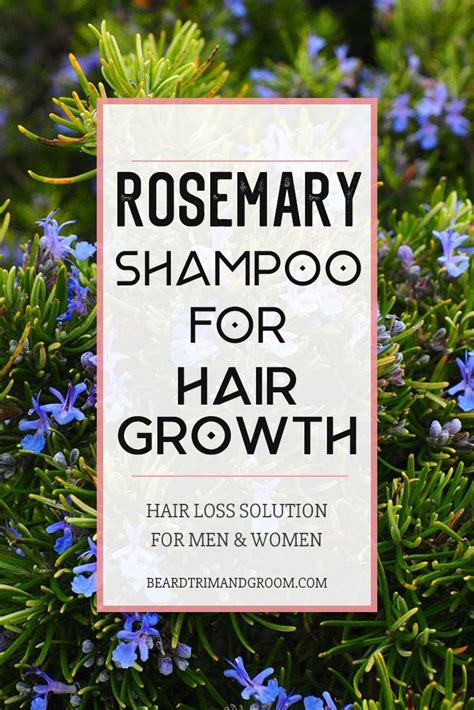 Best Rosemary Shampoo For Hair Growth - Beard Trim And Groom | Rosemary shampoo, Healthy hair ...