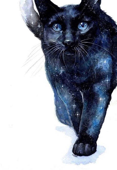 Galaxy Cat Drawing with Blue Eyes