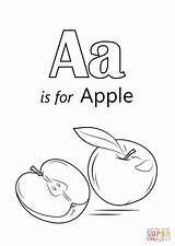 A Is For Apple Coloring Pages Printable sketch template