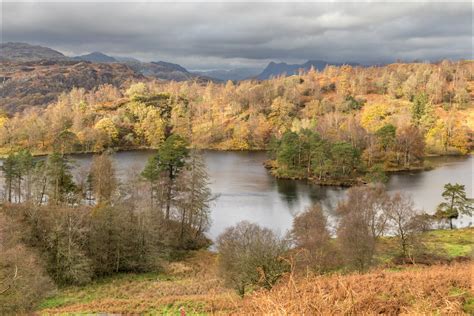 Tarn Hows walk - Tarns walk - Coniston walks - Lake District walks