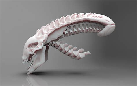 Predator Skull 3D model 3D printable | CGTrader