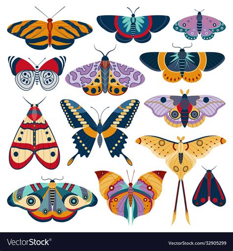 Tropic butterfly and exotic moth colored set Vector Image