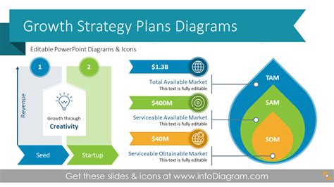 Business Growth Strategy Plan Presentation (PPT Template)