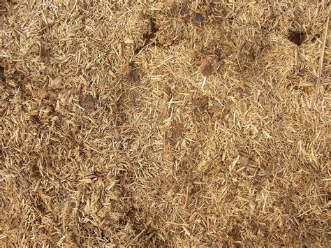 Free photo: Dry Grass Texture - Abstract, Black, Dry - Free Download - Jooinn